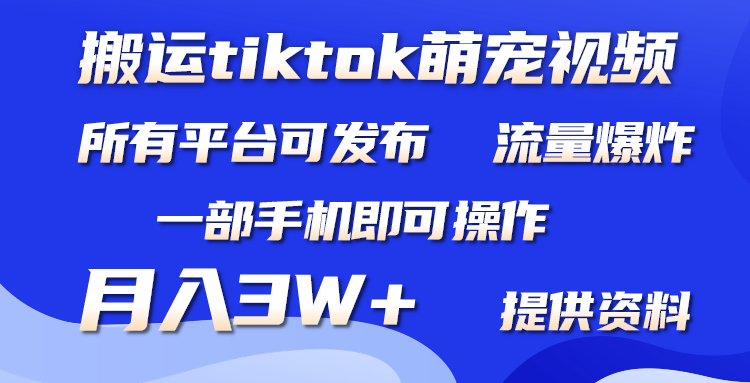 搬运Tiktok萌宠类视频，一部手机即可。所有短视频平台均可操作，月入3W+-创业网