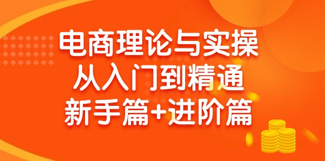 电商理论与实操从入门到精通 新手篇+进阶篇-创业网