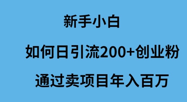 新手小白如何日引流200+创业粉通过卖项目年入百万-创业网