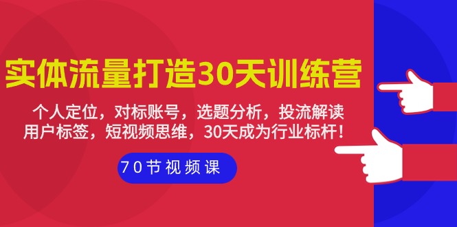 实体-流量打造-30天训练营：个人定位，对标账号，选题分析，投流解读-70节-创业网