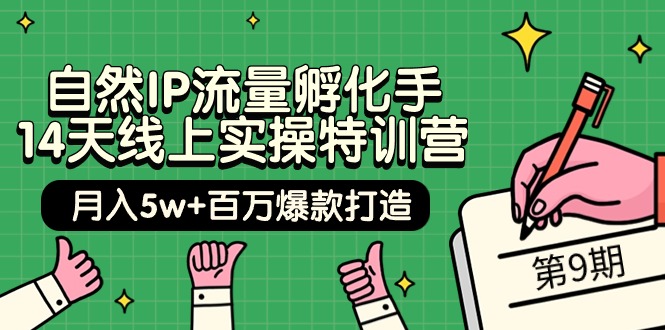 自然IP流量孵化手 14天线上实操特训营【第9期】月入5w+百万爆款打造 (74节)-创业网