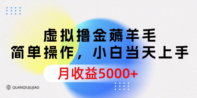 虚拟撸金薅羊毛，简单操作，小白当天上手，月收益5000+-创业网