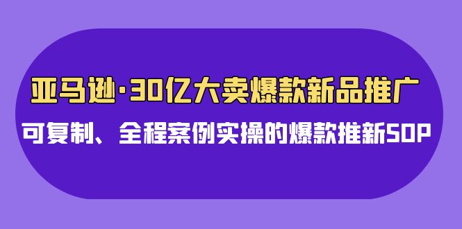 亚马逊30亿·大卖爆款新品推广，可复制、全程案例实操的爆款推新SOP-创业网