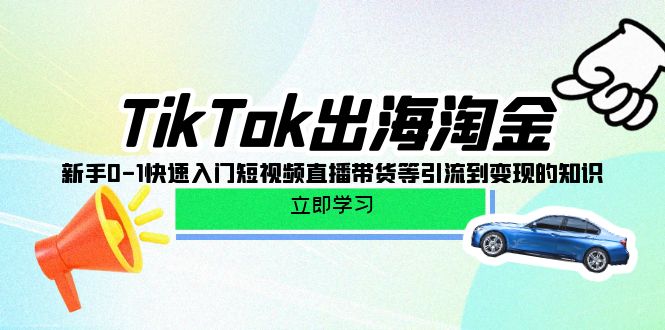 TikTok-出海淘金，新手0-1快速入门短视频直播带货等引流到变现的知识-创业网