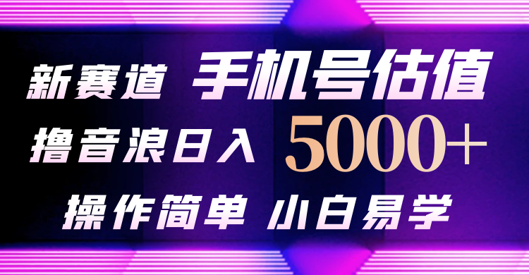 抖音不出境直播【手机号估值】最新撸音浪，日入5000+，简单易学，适合…-创业网