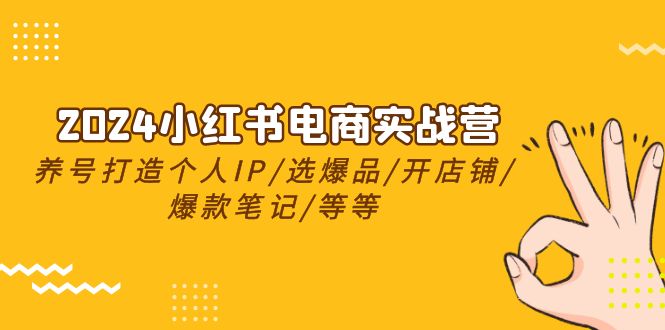 2024小红书电商实战营，养号打造IP/选爆品/开店铺/爆款笔记/等等-创业网