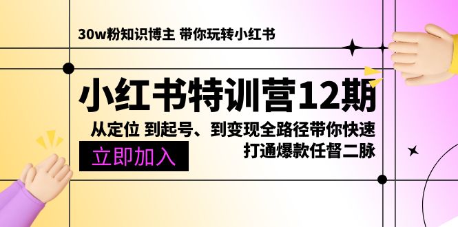 小红书特训营12期：从定位 到起号、到变现全路径带你快速打通爆款任督二脉-创业网