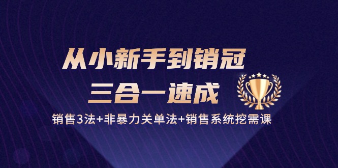 从小新手到销冠 三合一速成：销售3法+非暴力关单法+销售系统挖需课 (27节)-创业网