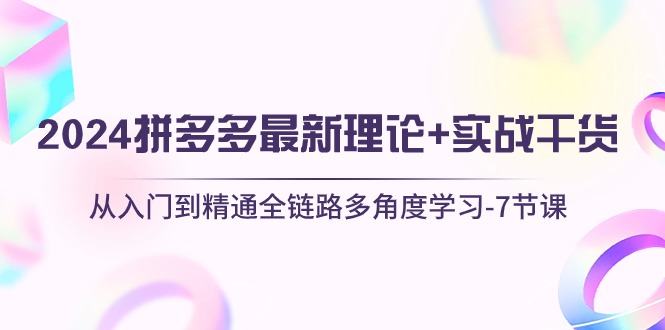 2024拼多多 最新理论+实战干货，从入门到精通全链路多角度学习-7节课-创业网