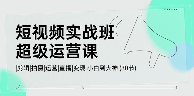 短视频实战班-超级运营课，|剪辑|拍摄|运营|直播|变现 小白到大神 (30节)-创业网