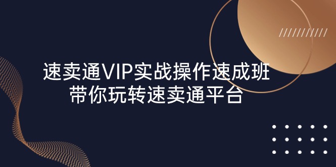 速卖通 VIP实战操作-速成班，带你玩转速卖通平台-创业网