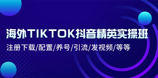 海外TIKTOK抖音精英实操班：注册下载/配置/养号/引流/发视频/等等-创业网