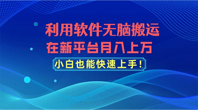 利用软件无脑搬运，在新平台月入上万，小白也能快速上手-创业网