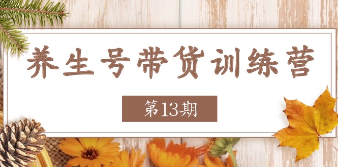 养生号-带货训练营【第13期】收益更稳定的玩法，让你带货收益爆炸-创业网