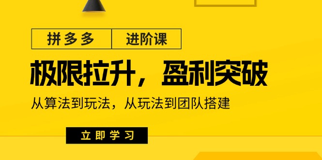 拼多多·进阶课：极限拉升/盈利突破：从算法到玩法 从玩法到团队搭建-18节-创业网