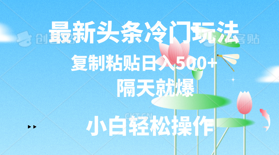 最新头条冷门玩法，隔天就爆，复制粘贴日入500+-创业网