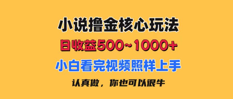 小说撸金核心玩法，日收益500-1000+，小白看完照样上手，0成本有手就行-创业网