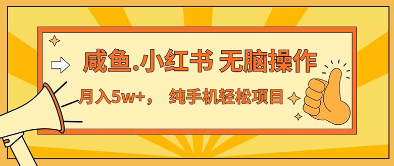 2024最赚钱的项目，咸鱼，小红书无脑操作，每单利润500+，轻松月入5万+…-创业网