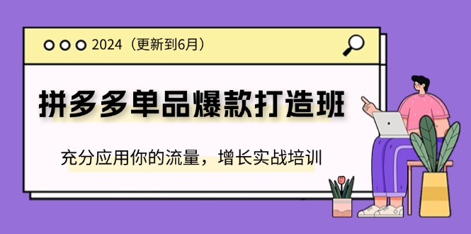 2024拼多多-单品爆款打造班(更新6月)，充分应用你的流量，增长实战培训-创业网