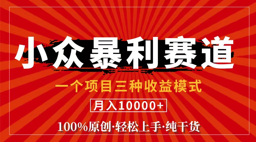 视频号【中老年粉深信不疑】小众赛道 100%原创 手把手教学 新号3天收益…-创业网