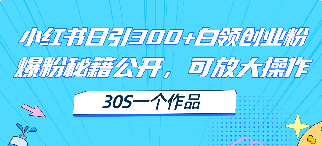 小红书日引300+高质白领创业粉，可放大操作，爆粉秘籍！30s一个作品-创业网