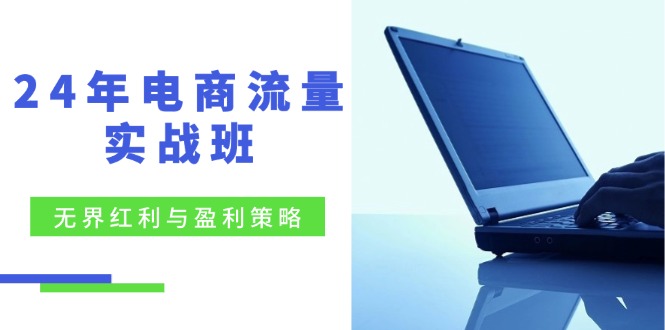 24年电商流量实战班：无界 红利与盈利策略，终极提升/关键词优化/精准…-创业网