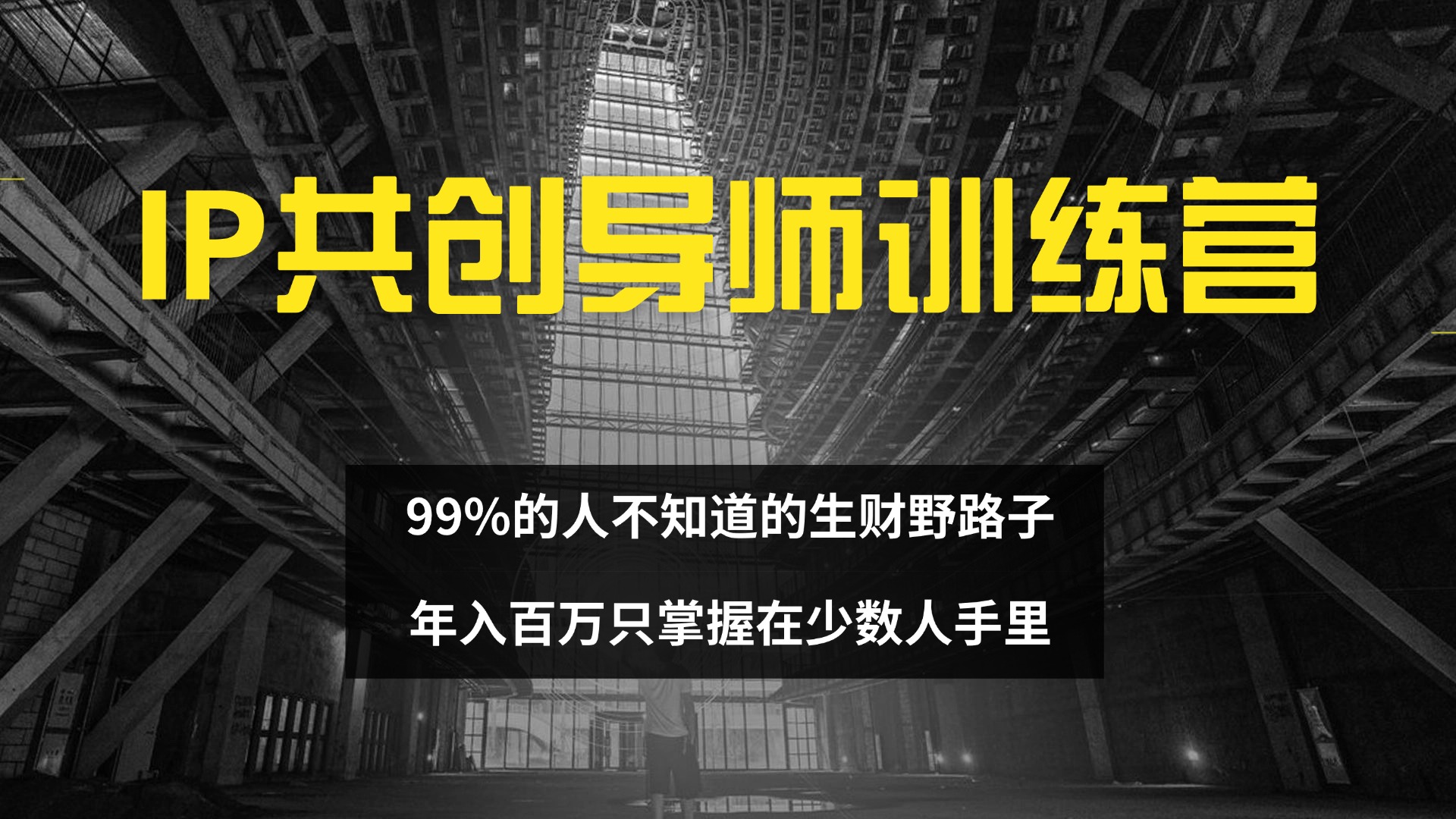 IP共创导师训练营 99%的人不知道的生财野路子 只掌握在少数人手里-创业网