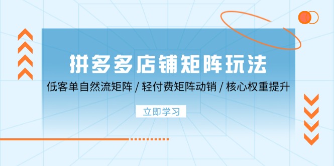 拼多多店铺矩阵玩法：低客单自然流矩阵 / 轻付费矩阵 动销 / 核心权重提升-创业网