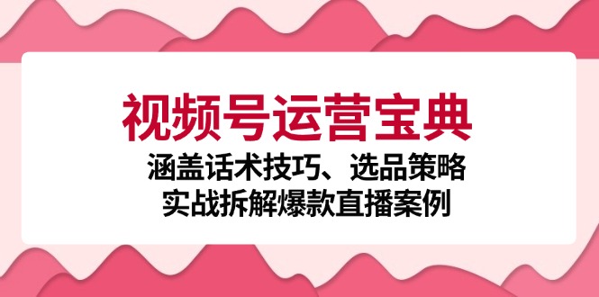 视频号运营宝典：涵盖话术技巧、选品策略、实战拆解爆款直播案例-创业网