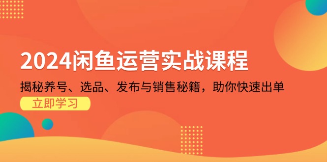 2024闲鱼运营实战课程：揭秘养号、选品、发布与销售秘籍，助你快速出单-创业网