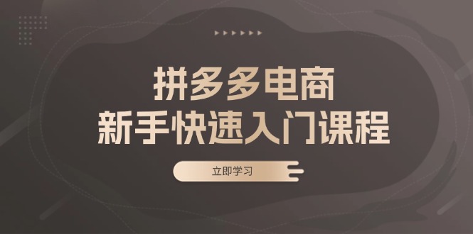 拼多多电商新手快速入门课程：涵盖基础、实战与选款，助力小白轻松上手-创业网