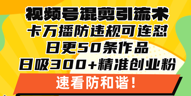 视频号混剪引流技术，500万播放引流17000创业粉，操作简单当天学会-创业网