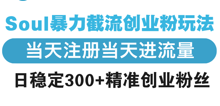 Soul暴力截流创业粉玩法，当天注册当天进流量，日稳定300+精准创业粉丝-创业网