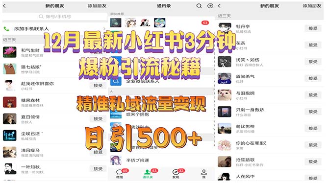 12月最新小红书3分钟爆粉引流秘籍 精准私域流量变现 日引500+-创业网