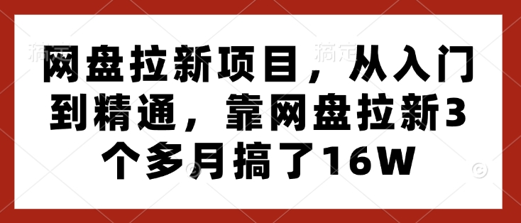 网盘拉新项目，从入门到精通，靠网盘拉新3个多月搞了16W-创业网