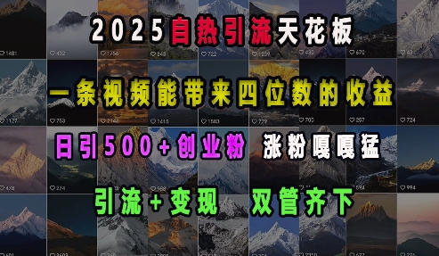 2025自热引流天花板，一条视频能带来四位数的收益，引流+变现双管齐下，日引500+创业粉，涨粉嘎嘎猛-创业网