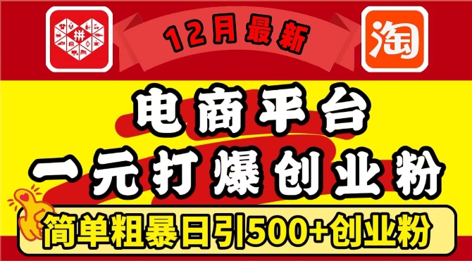 12月最新：电商平台1元打爆创业粉，简单粗暴日引500+精准创业粉，轻松月入过W【揭秘】-创业网