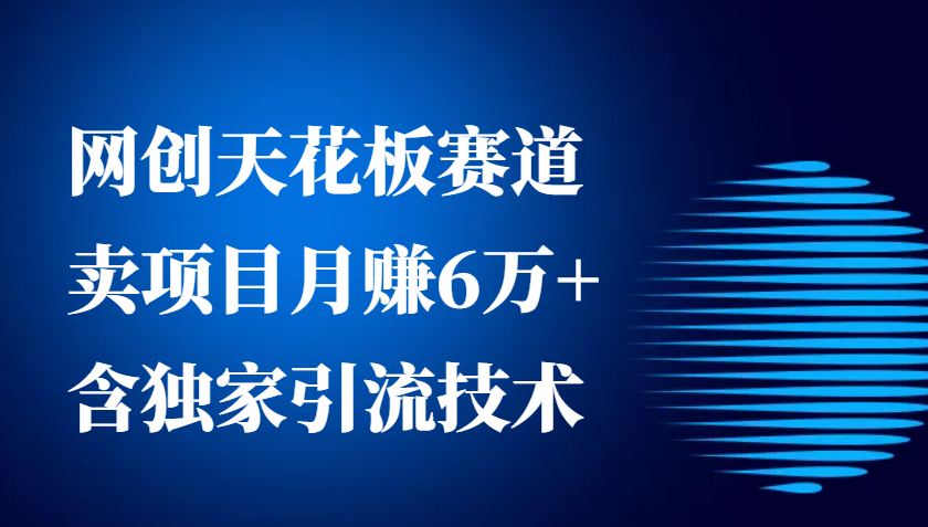 网创天花板赛道，卖项目月赚6万+，含独家引流技术(共26节课)-创业网