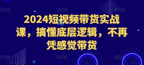 2024短视频带货实战课，搞懂底层逻辑，不再凭感觉带货-创业网