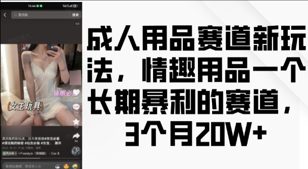 成人用品赛道新玩法，情趣用品一个长期暴利的赛道，3个月收益20个【揭秘】-创业网