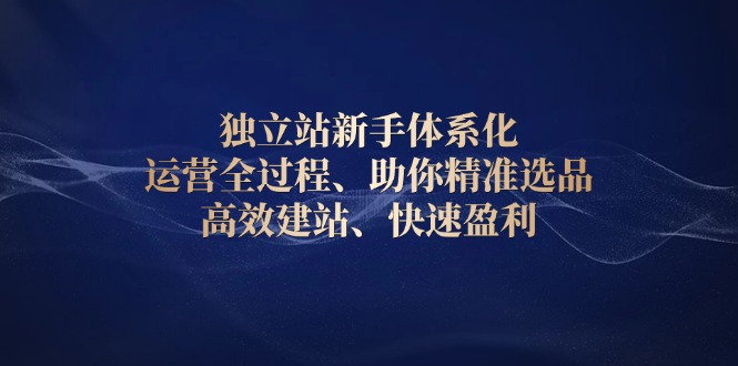 独立站新手体系化 运营全过程，助你精准选品、高效建站、快速盈利-创业网