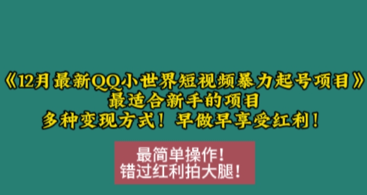 12月最新QQ小世界短视频暴力起号项目，最适合新手的项目，多种变现方式-创业网